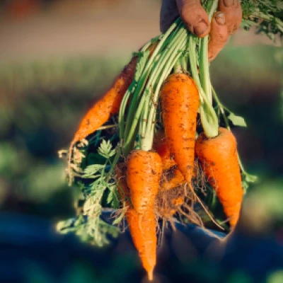 Produce quality control